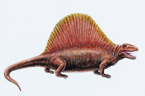 focus_dimetrodon (1)