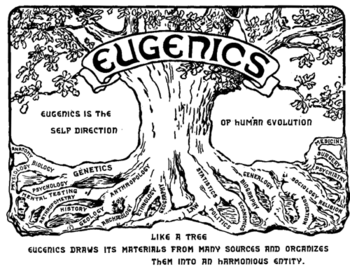 A Pattern Concerning&nbsp;Giants